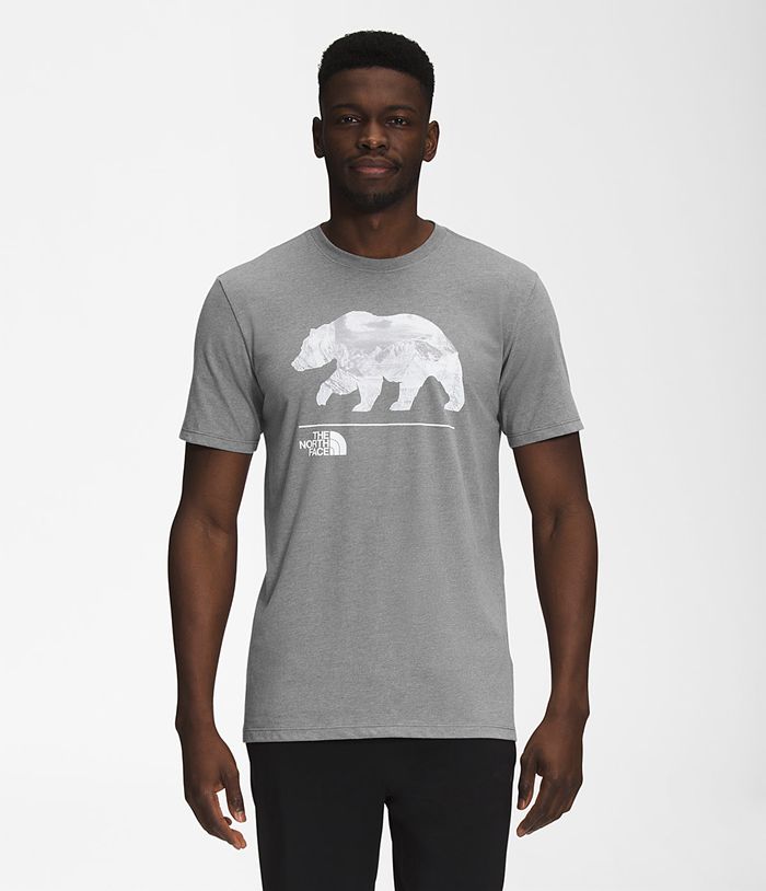 The North Face T Shirts Męska Szare Bearscape Krótki Rękaw - MURY41273